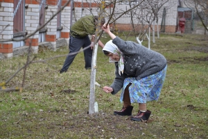 14.04.16г. Подготовка деревьев к весне